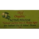SRY Organic Active Pousse hair treatment Olive and Natural Placenta
