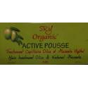 SRY Organic Active Pousse hair treatment