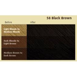 Poudre Colorante Noir Naturel 58 Bigen 2