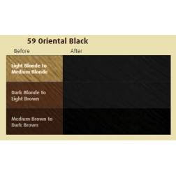 Poudre Colorante Noir Oriental 59 Bigen 2