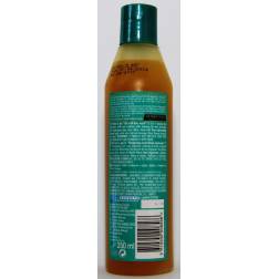 Dark and Lovely Amla Legend 3in1 shampoo 2