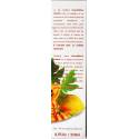 claire & white  papaya beauty lotion 